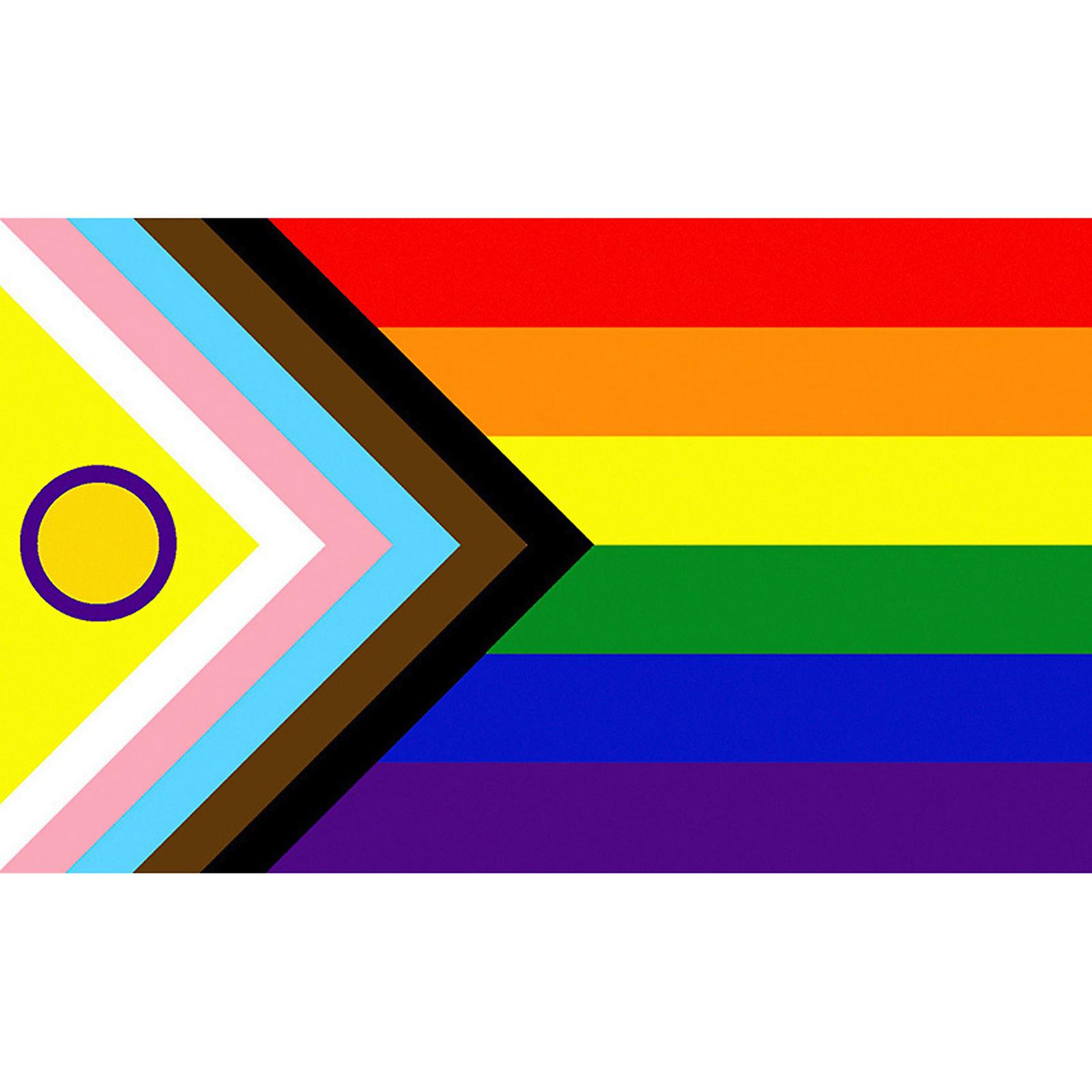 Gay Pride Flag 3ft x 5ft Polyester Flag Durable Progressive Pride Flag Display