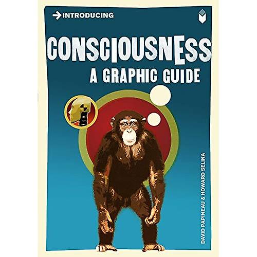 Einführung Bewusstsein: Eine grafische Anleitung