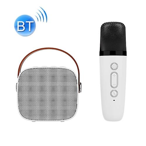 D20 Multifunctional K Song Bluetooth Speaker With Microphone
