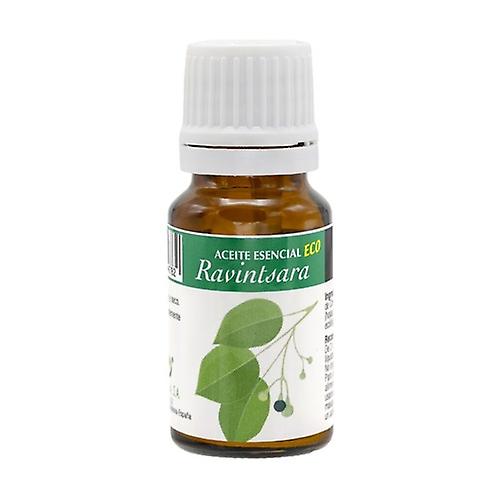 Ravintsara Eco Essential Oil 10 ml of essential oil