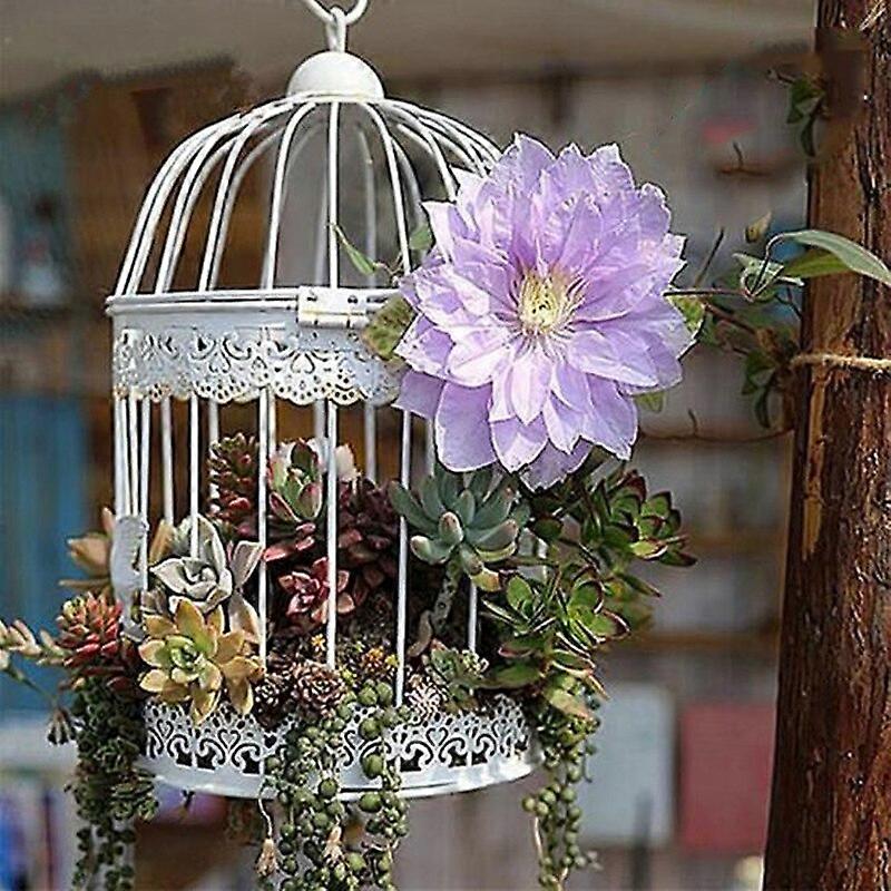 מסגרת כלוב ציפורים מתכת ברזל חוט עציץ עסיסי עציץ מתכת סלסלת עציצים מברזל 7.5 ס"מ קישוט כלוב ציפורים עציצים ואדניות תלויים