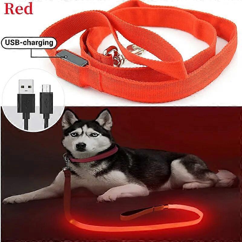 Led Pet Dog Leash Rope With Light Luminous Lead Leash USB Charging for Dog Safety Flashing Glowing Collar Harness Accessories