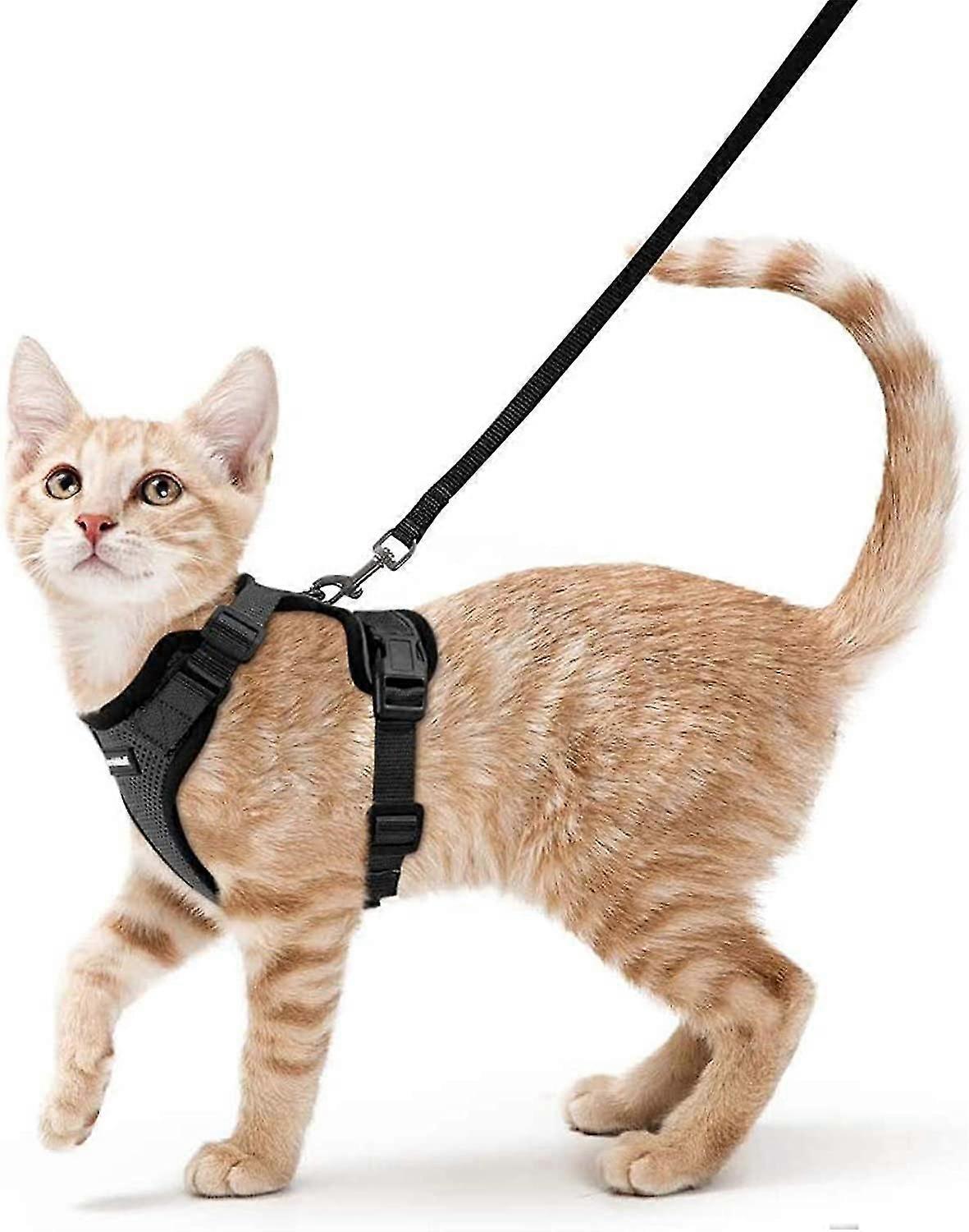 Harness And Leash For Walking, Escape Proof Soft Adjustable Vest Harnesses For Cats, Easy Control Breathable Jacket