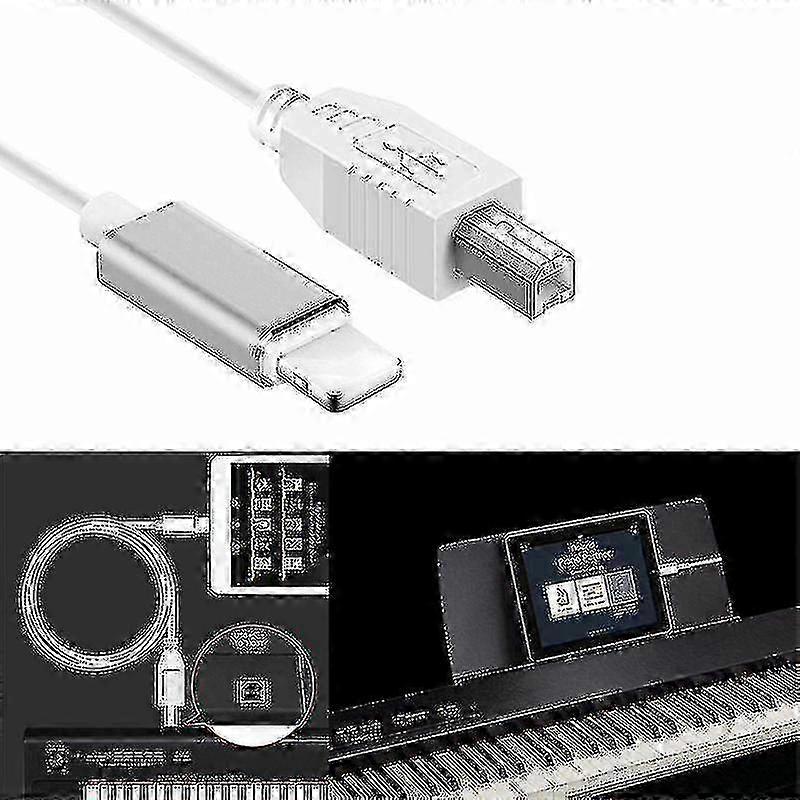 Lightning to USB-B MIDI Converter Cable iPhone iPad