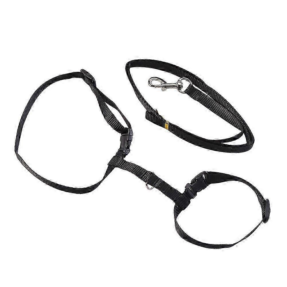 Adjustable Cat Harness and Collar for Pet Walking Strap Vest with Lead Leash Suitable for Various Brands (Black)