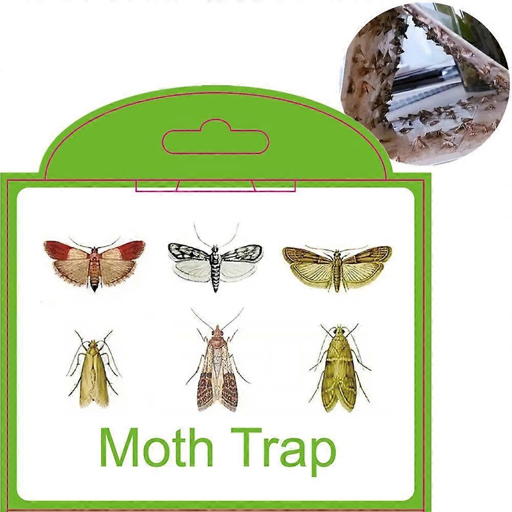 Moth Traps Garment Moth pheromone Traps More Effective Moth Traps Pantry Moth Traps Meal Moth Traps Green Food Moth Traps