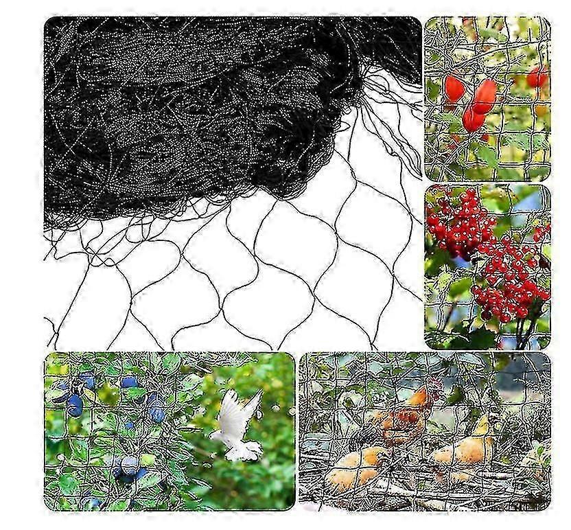 شبكة حماية بركة شبكية دقيقة 5x 10 م - لون أسود - شبكة حماية الطيور ، شبكة الأوراق ، شبكة حماية الطيور ، شبكة غطاء البركة