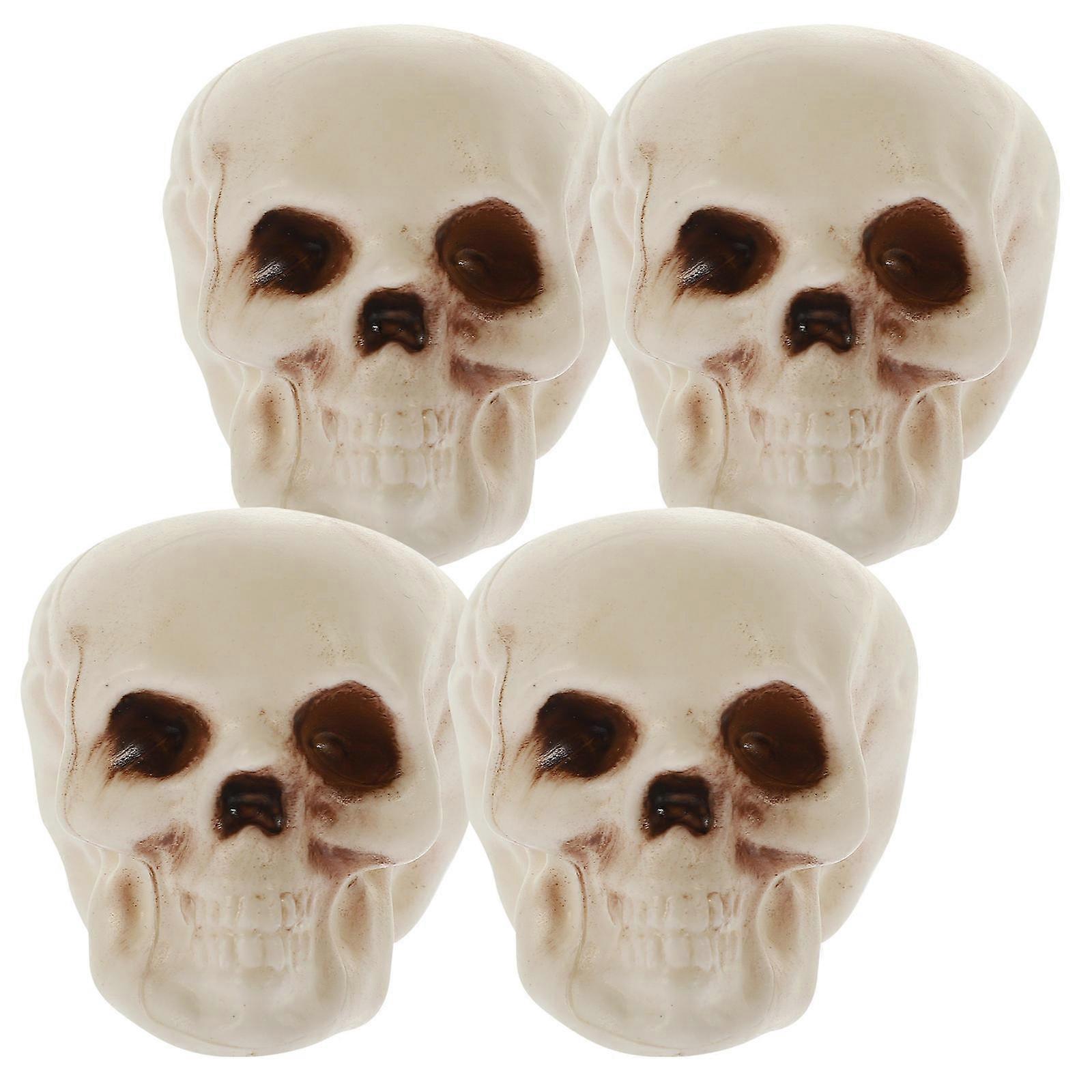 Miniature Skull Head Models for Decor with 4Pcs Simulation Skeleton Heads