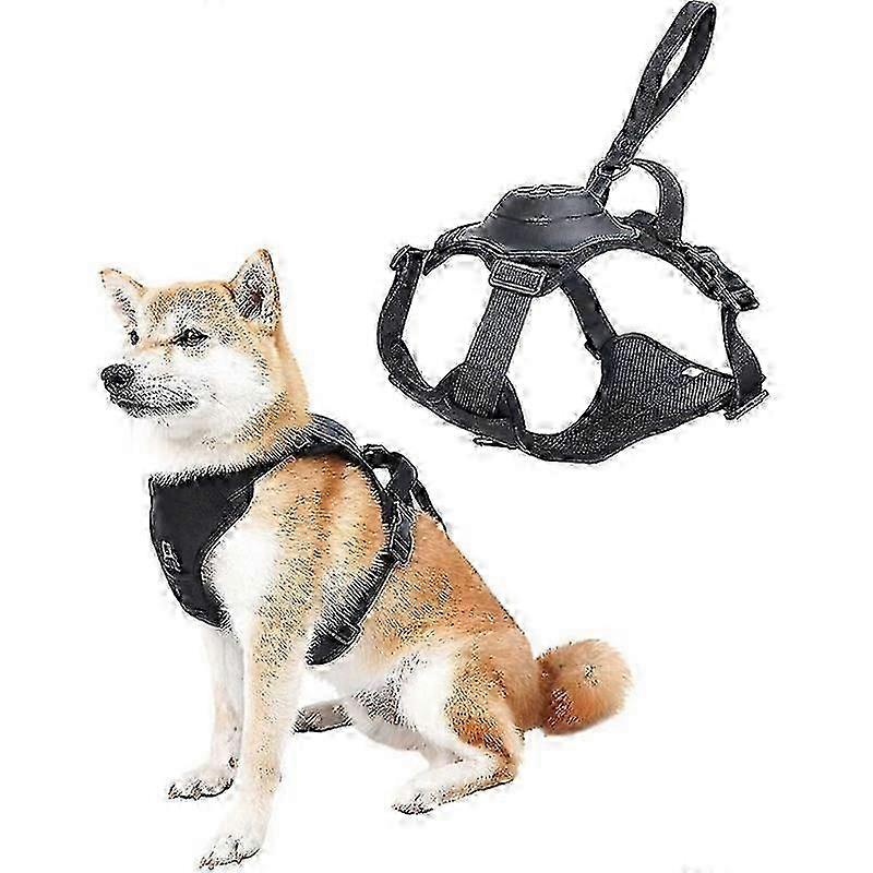 New Pet Harness Set: All-in-One Adjustable Breathable Dog Harness with Retractable Leash Kit