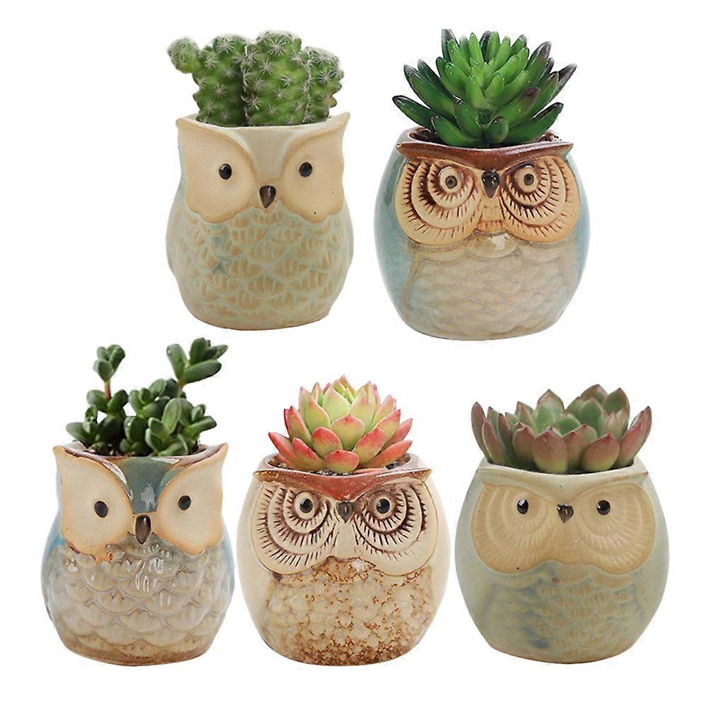 Owl Shape Flower Holder Flower Pot for Storage 5Pcs Ceramic Planters