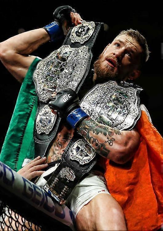 Conor McGregor Jigsaw Puzzle Brain Teaser TP0902