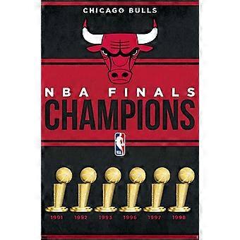 CHICAGO BULLS CHAMPIONS Stress Reliever Jigsaw Puzzle G0384