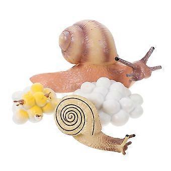 1 Set Realistic Snails Growth Models Plastic Display Ornament Kids Cognitive Toys