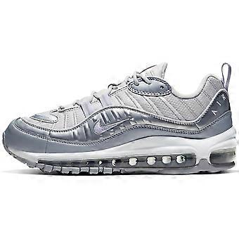 Nike Air Max 98 Vast Grey Women's BV6536-001
