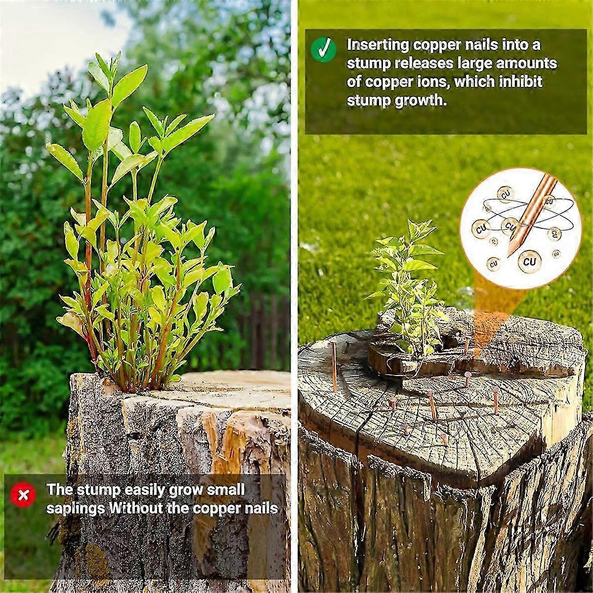 Copper Root Killing Stump Nails