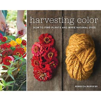 Harvesting Color - Rebecca Burgess - Paperback - English Book - Needlework and fabric crafts