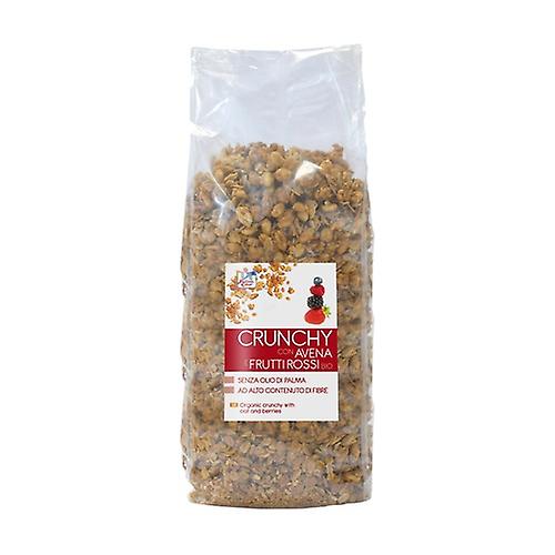 Crunchy with oats and red fruits 1,5 kg
