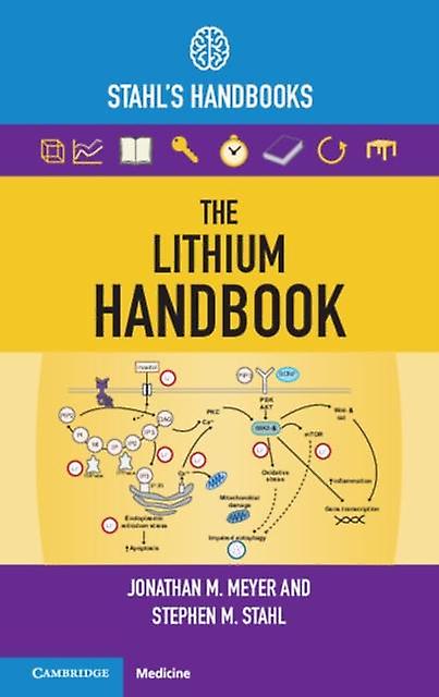 The Lithium Handbook by Jonathan M. Meyer Paperback Book