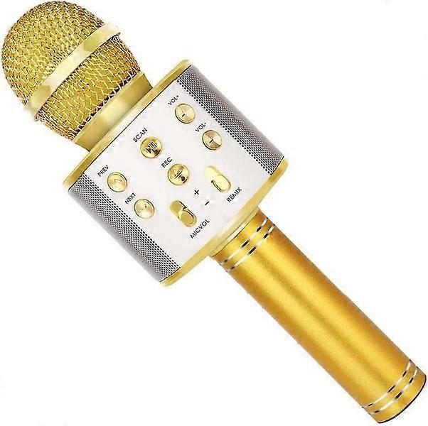 Wireless Bluetooth Karaoke Microphone with Speaker, Record Function - Best Gift