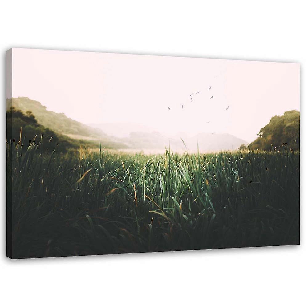 Impression sur toile, Oiseaux sur une zone humide - 100x70