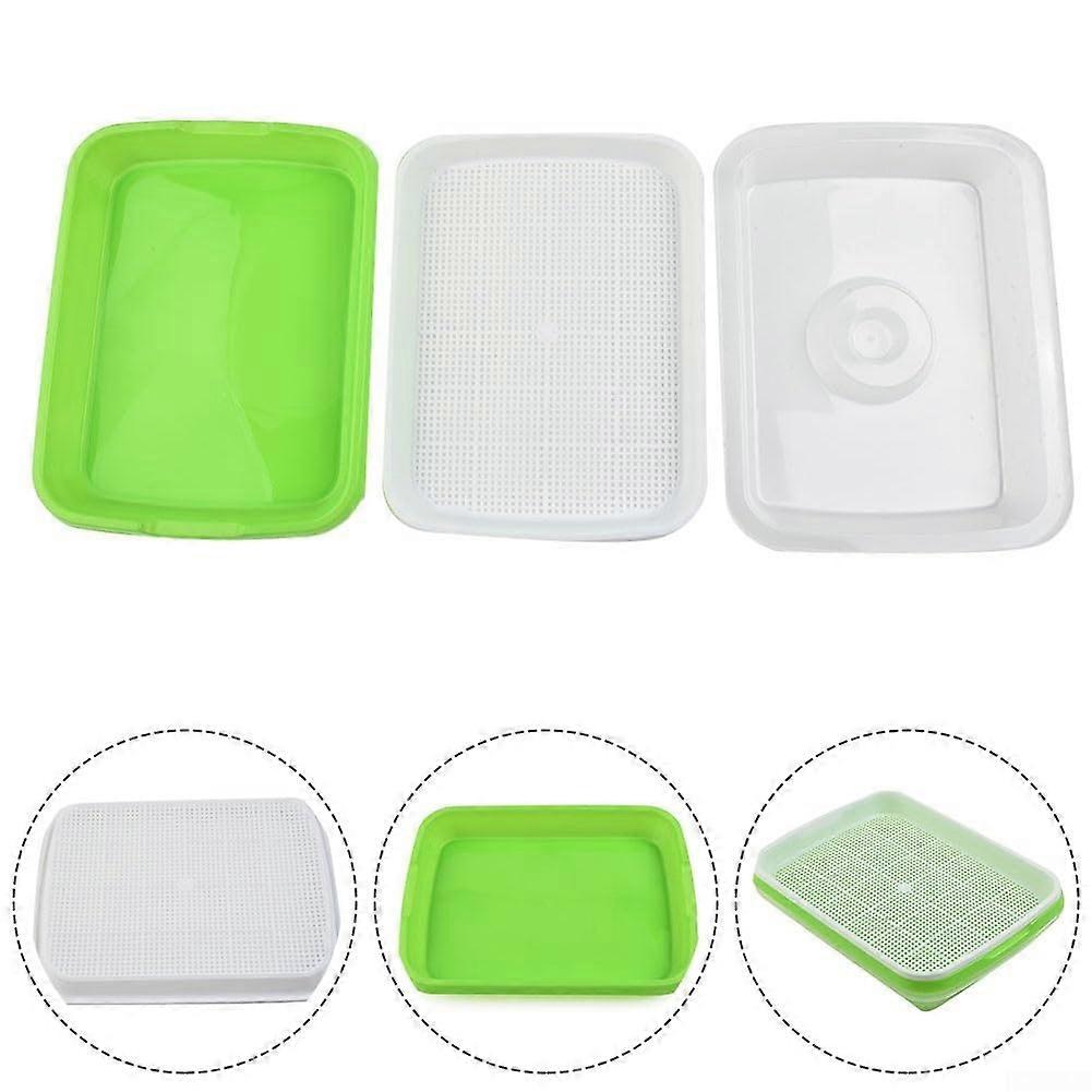 Germination Tray Large With White Mesh Layer For Seed Propagation And Various Seed Types