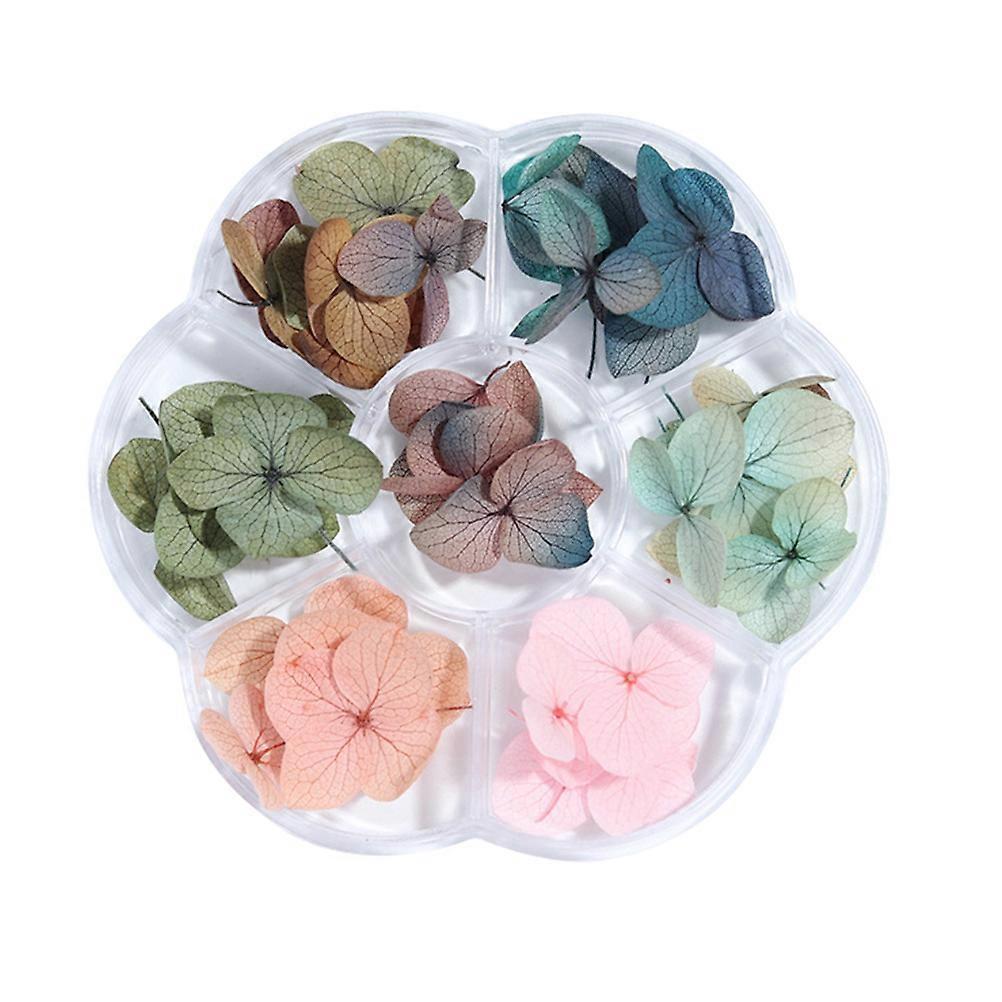 Dried Flower Nail Sticker Maple Leaf Manicure Decoration Assorted Color Gradient 50Pcs