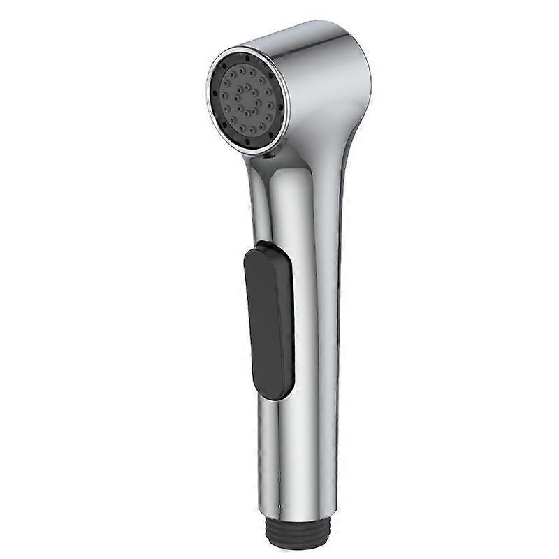 Elate chrome shower head for toilets