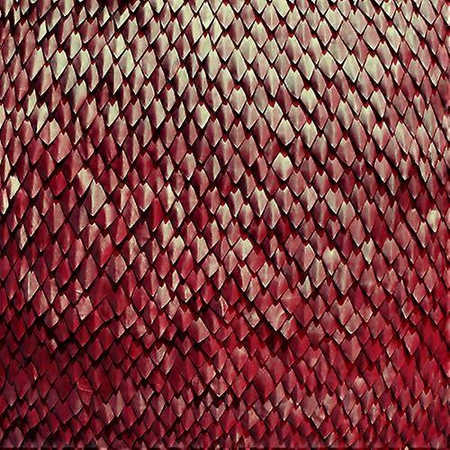 Kill the Vultures - Carnelian  [COMPACT DISCS] Explicit USA import
