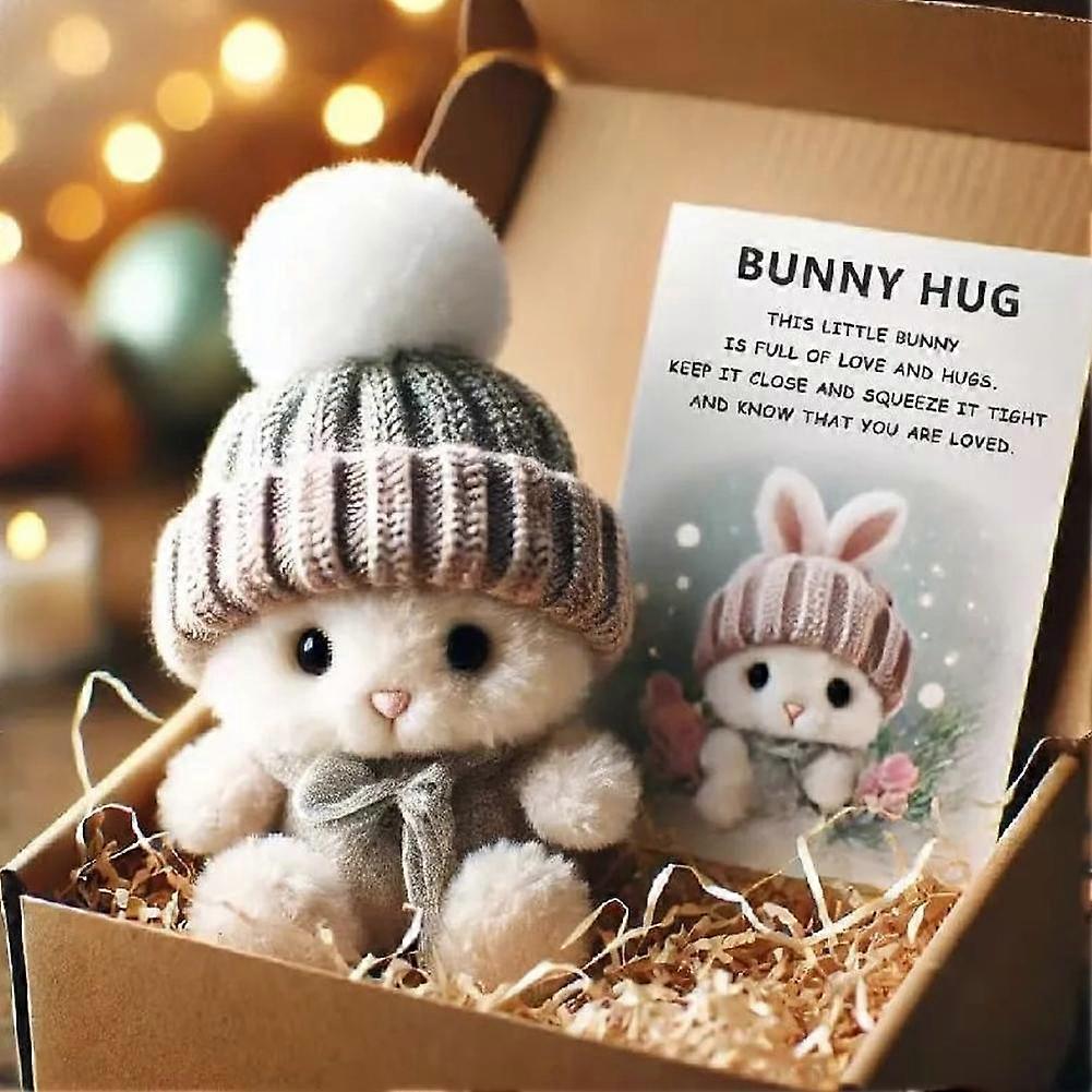 Mini Hase Umarmung Ostergeschenk Hase Plüsch Tasche Umarmung Kaninchen Karten Positiv