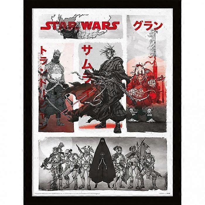 Star Wars: Visions Washi Characters Framed Poster