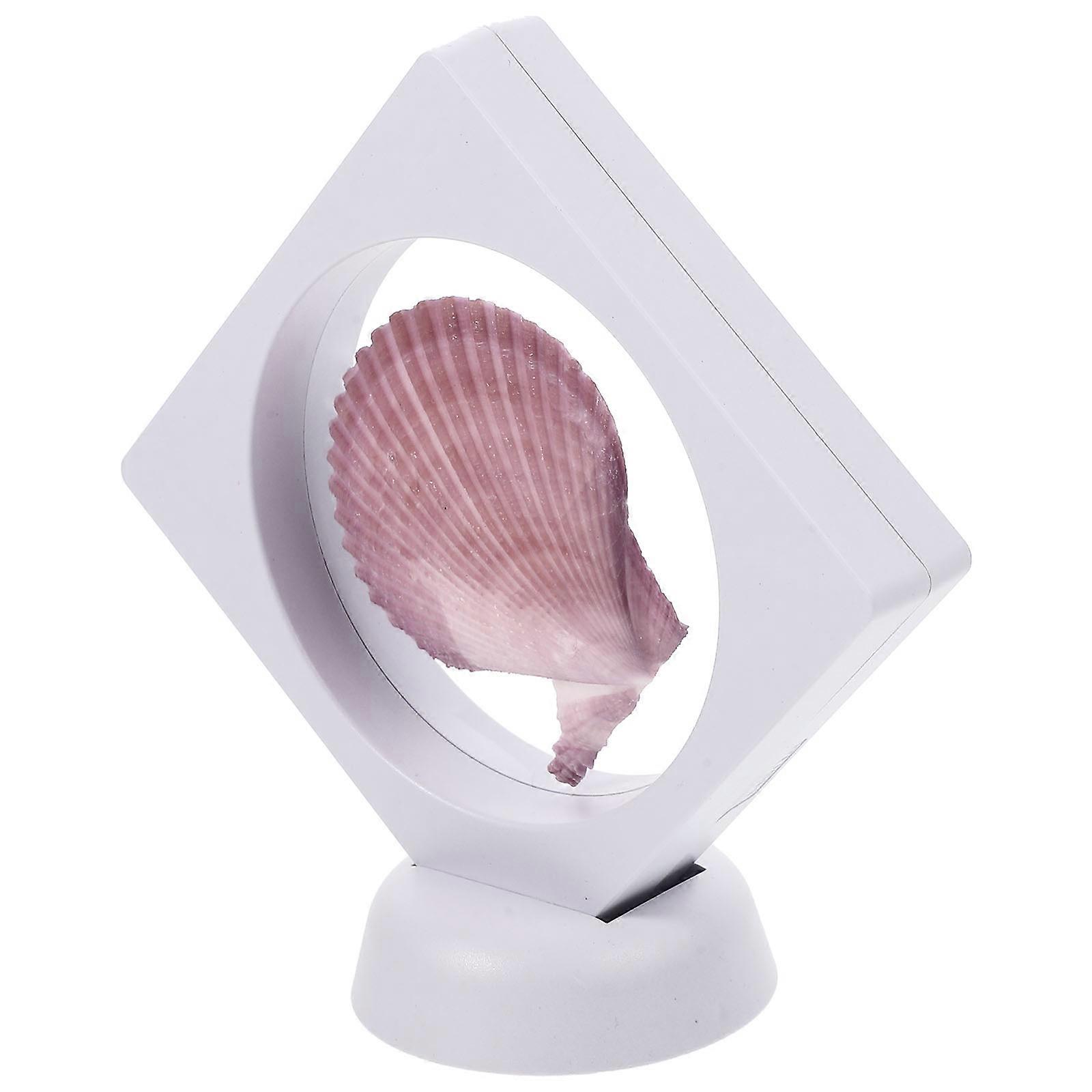 3Pcs Tabletop Conch Decorative Props For Home Decoration And Craft Decoration In Various Styles With Natural Aesthetic