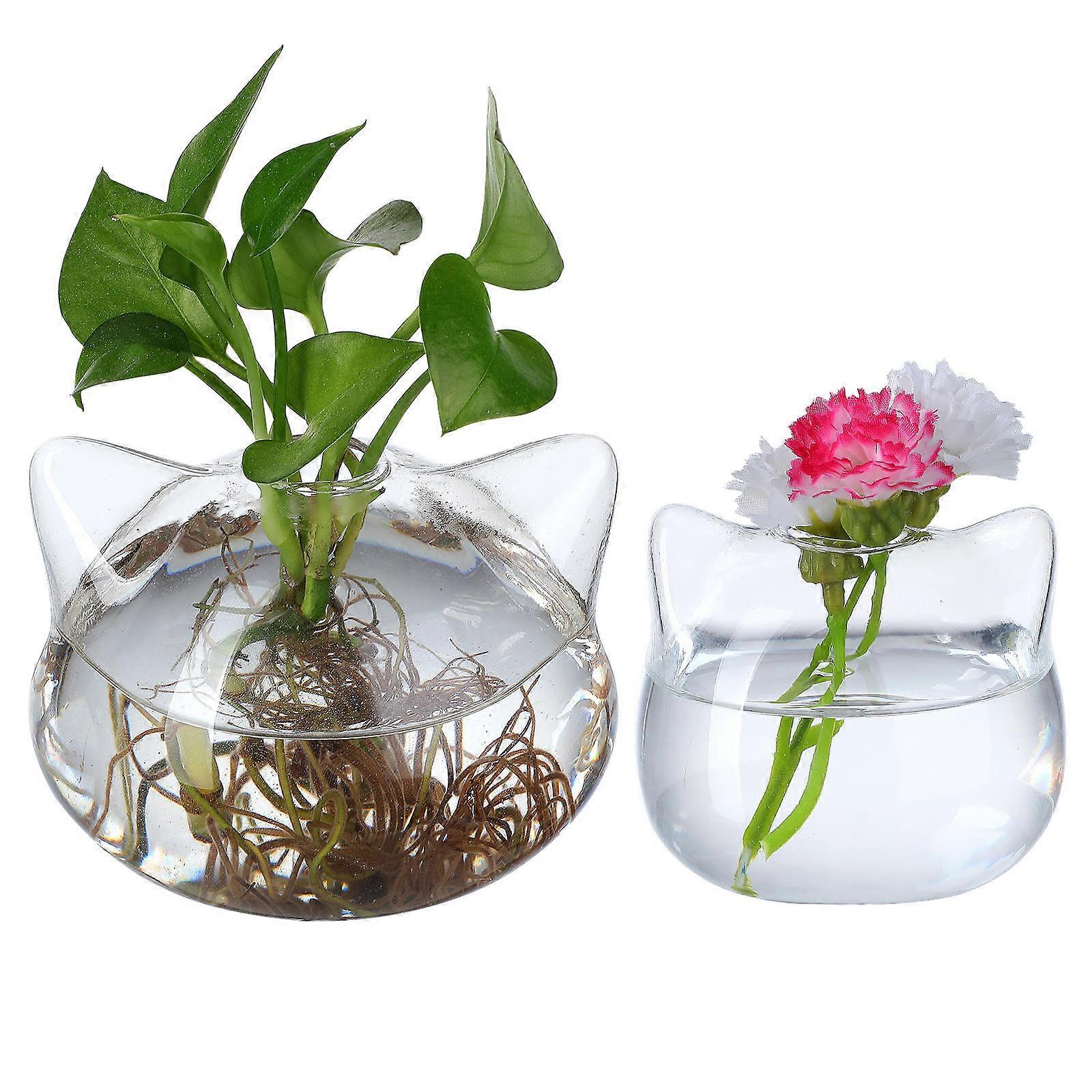 Hydroponic Plant Vase Cat Shaped Glass Container 8Pcs Collection