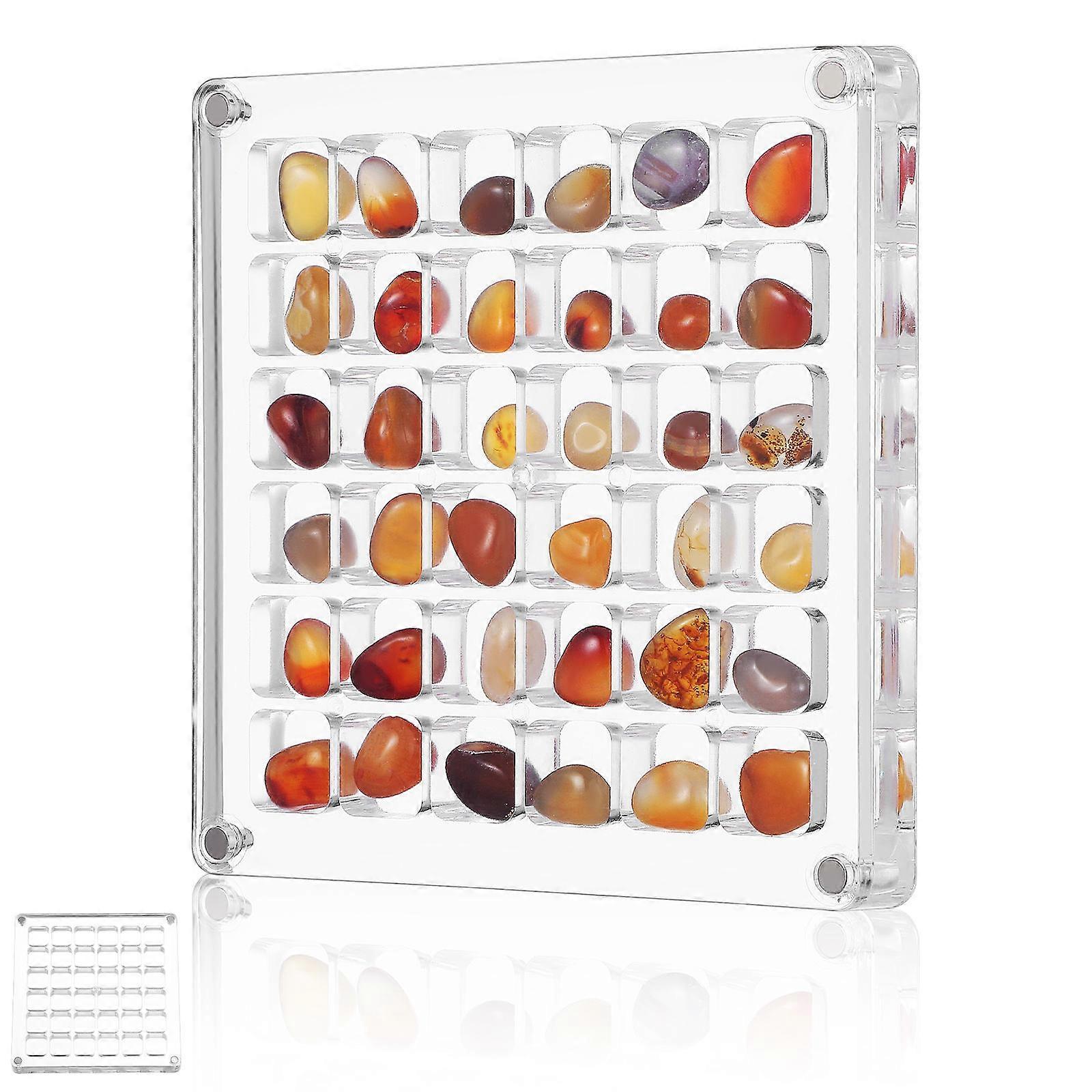 Clear Display Case Grid Display Case Seashell Holder Seashell Display Box Jewelry Collection Box 36 Grid