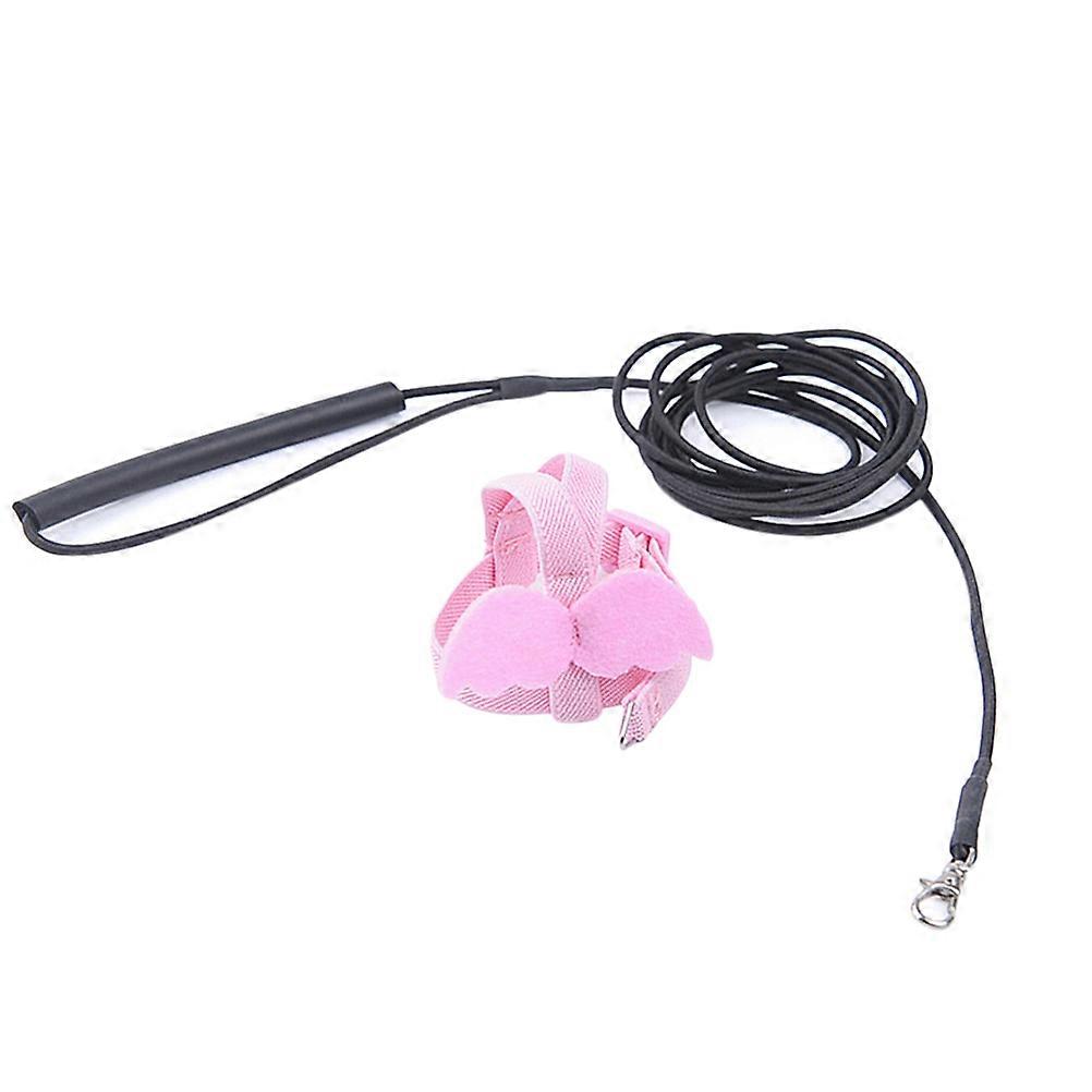 Parrot Flying Rope Pet Harness for 3Pcs Lightweight Bird Pulling Rope