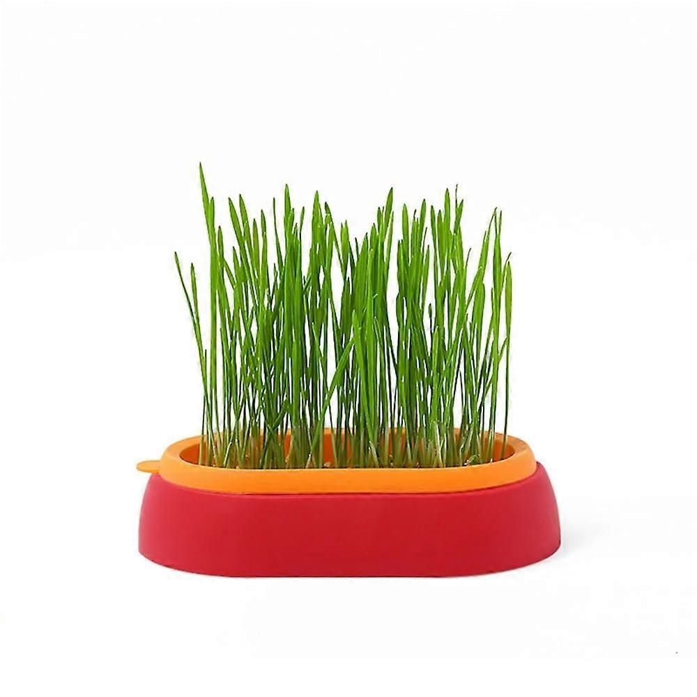 Hydroponic Sprouting Tray for Seed Germination, Indoor Bean and Cat Grass Growing, 2pcs Red