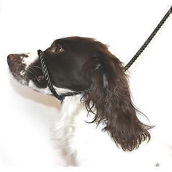 Hund og felt Figur 8 Anti-Trekk Bånd/Grime/Hodekrage/Sele, Svart