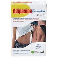 Fat burning adipesin 30 tablets
