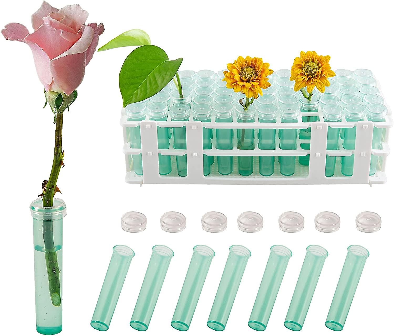 60 Pieces 2.8 Inch Plastic Water Tubes With 60hole Rack Holder For