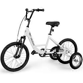 20 inch Adaptieve Fat Training Wheel Bike