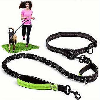 Hands Free Dog Leash with Reflective Trim, Shock-Absorbing Bungee Waist Belt for Running Jogging Hiking Canicross, Medium and Large Breeds