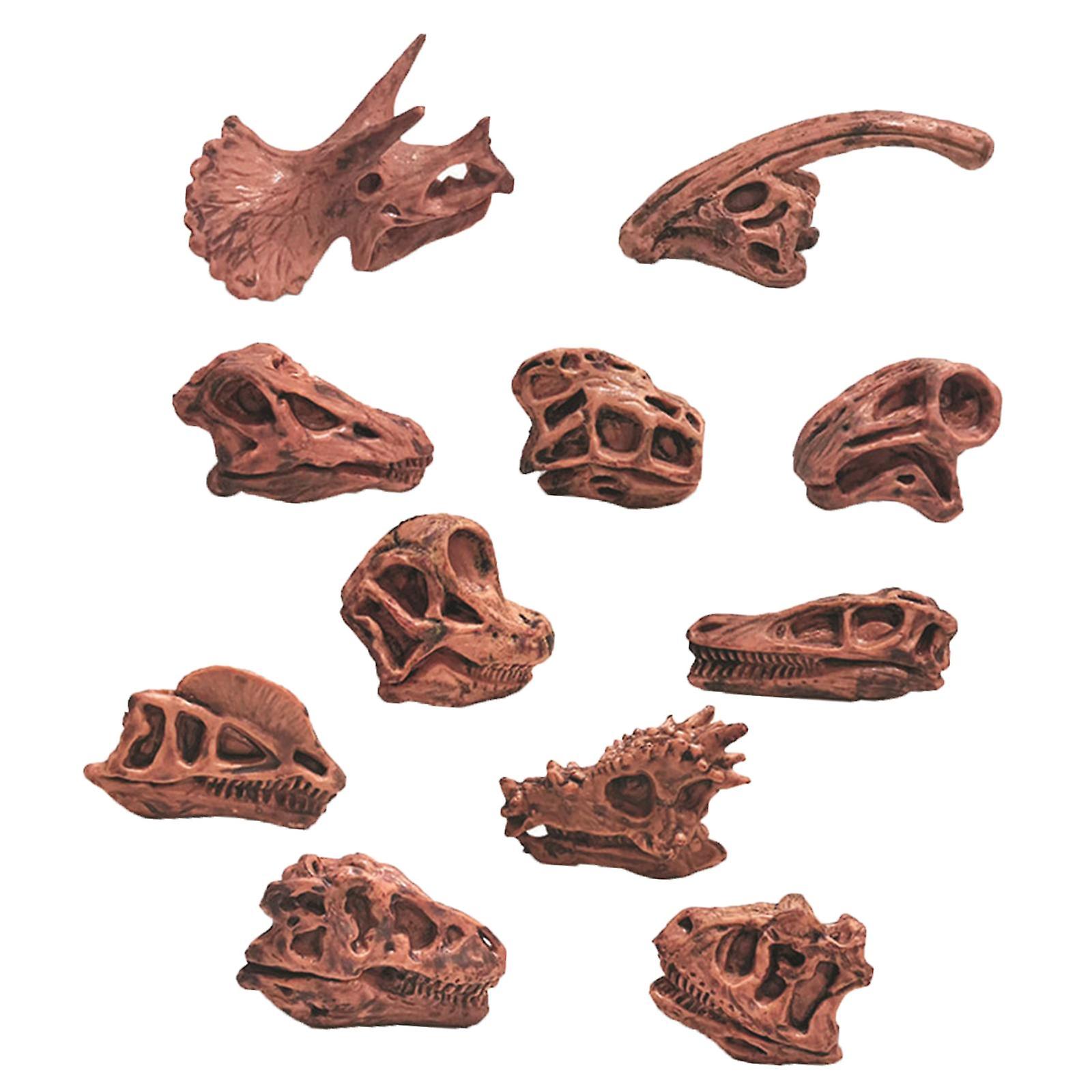 Dinosaur Skull Model Simulated Fossil Home Decor Decrative Teaching Prop brown