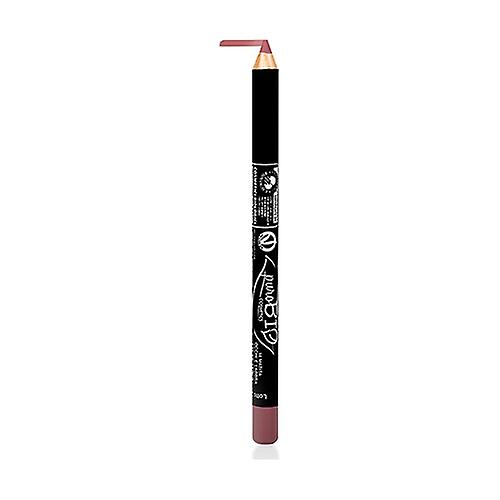 Terracota Ecological Lip Liner Pencil 10 1 unit (Hazelnut)