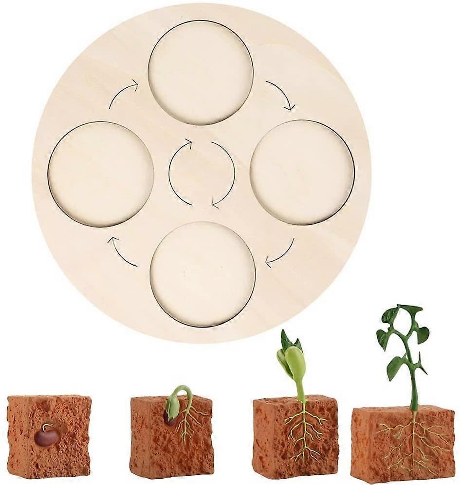 Life Cycle Board,Plant Wooden Life Cycle Tray Life Cycle Models Tray Matching Game Education Animal Life