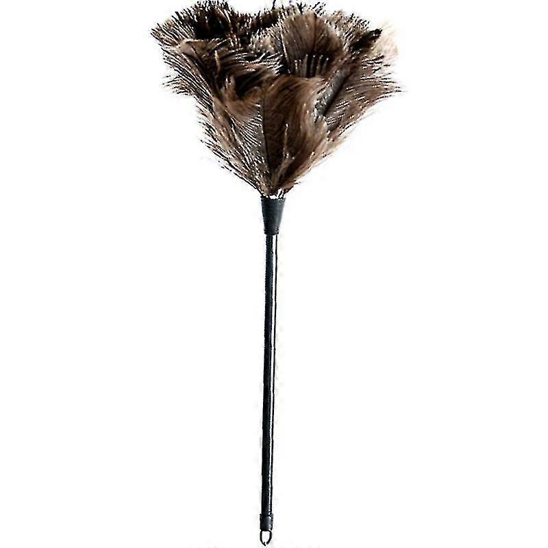 Hand Washable Ostrich Duster Cleaning Tool1pc-black