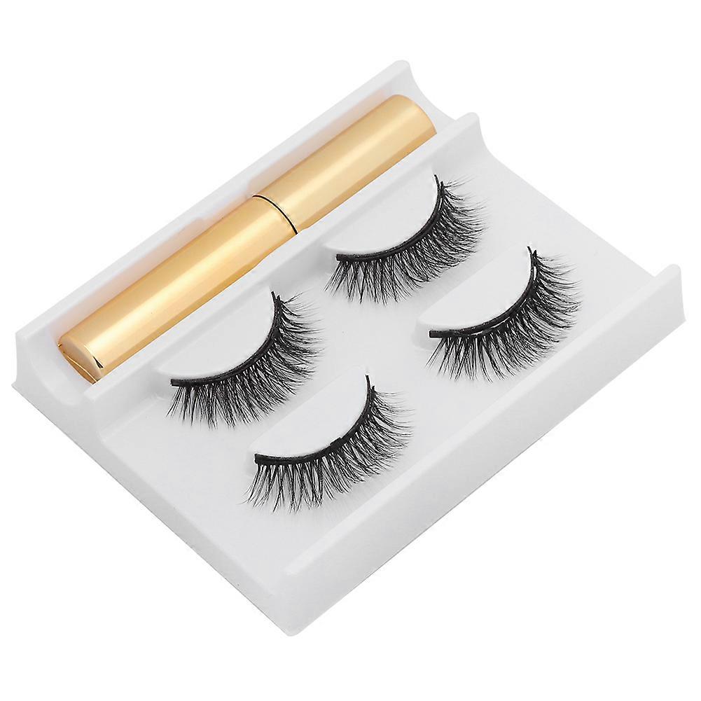 2 Pairs of 5 Magnet False Eyelash Set Magnetic Liquid Eyeliner Waterproof Lasting Eyelash Extension(2 Pairs of 3D-01 Eyelashes Eyeliner )
