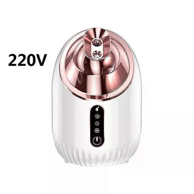 Vaporizzatore facciale 240ML Nano Mist Vaporizzatore Umidificatore Per La Cura Della Pelle Umidità Sbiancamento Salone di Bellezza Spa Elettrodomestico