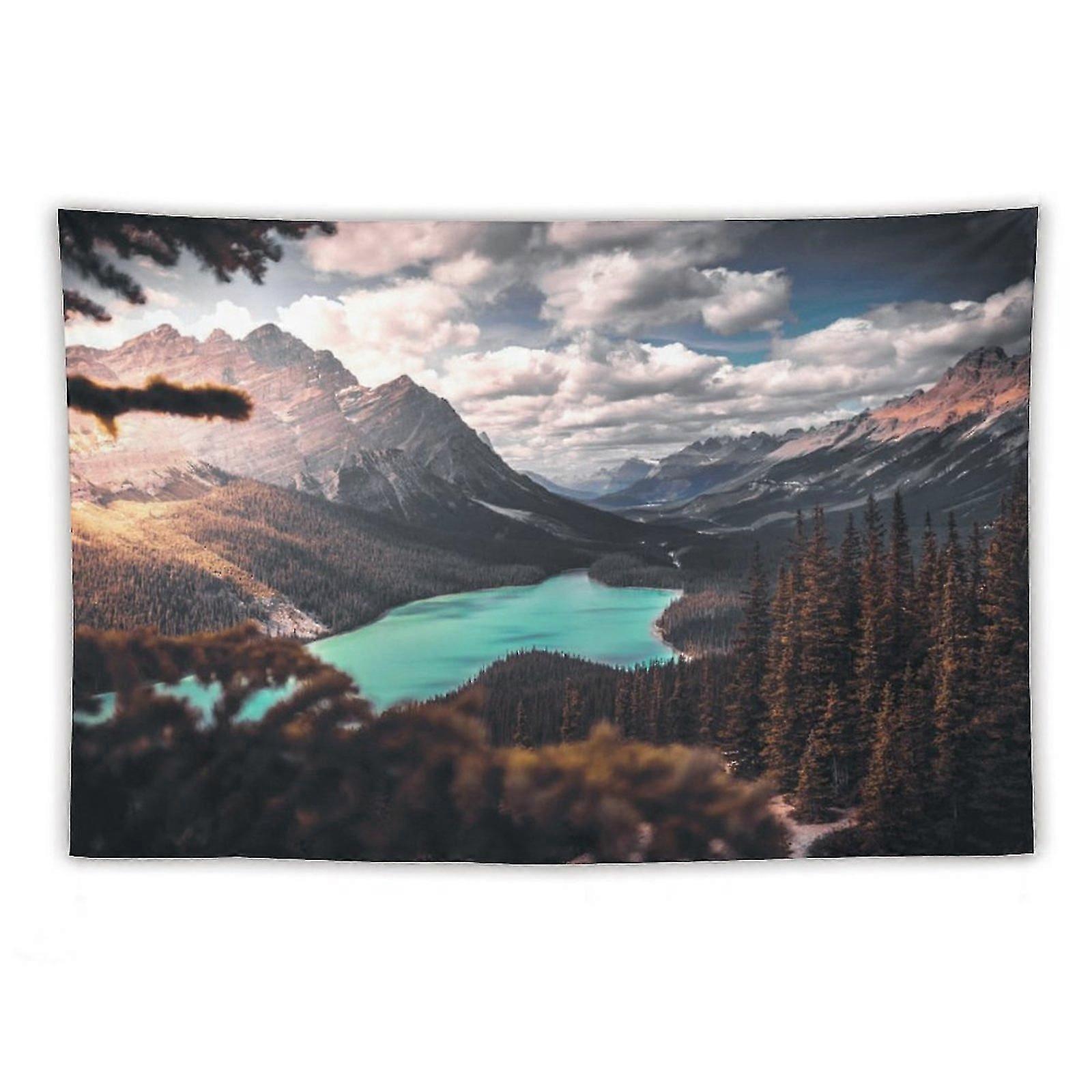 Fotografie pitorească a tapiseriilor lacului