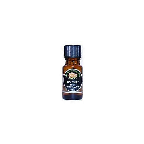 Natural By Nature Oils Teebaumöl 10ml - 2er Pack
