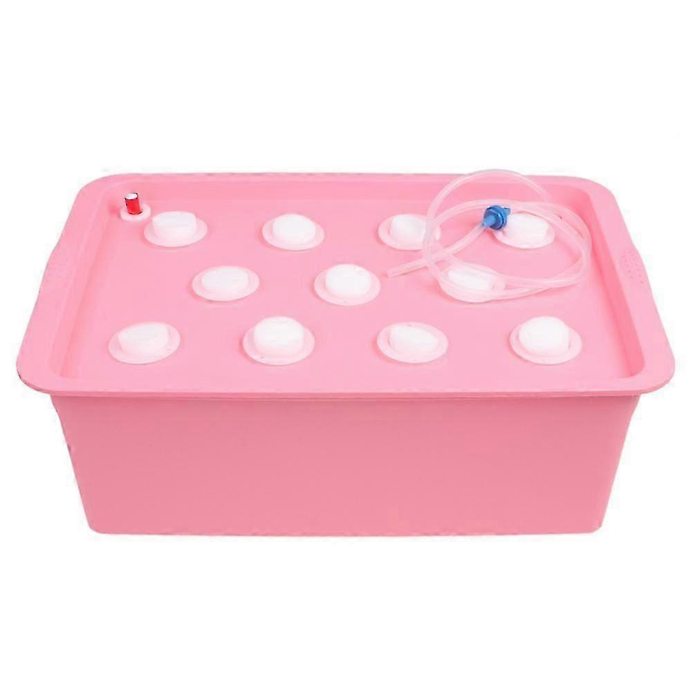 11 Holes Hydroponic System Growing Box with Timer Oxygen Pump Hydroponic System Planter Box--style3256