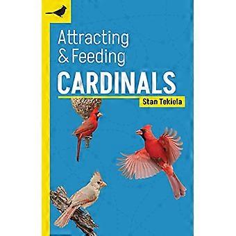 Attracting & Feeding Cardinals
